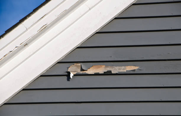  , USA Siding Installation & Repair Pros